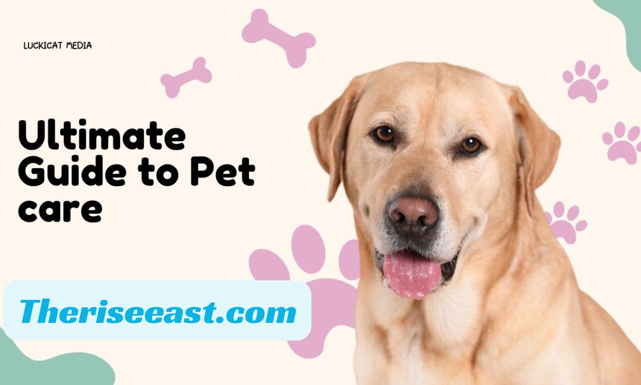 pet5ardas com: Your Ultimate Guide to Pet Care and Products